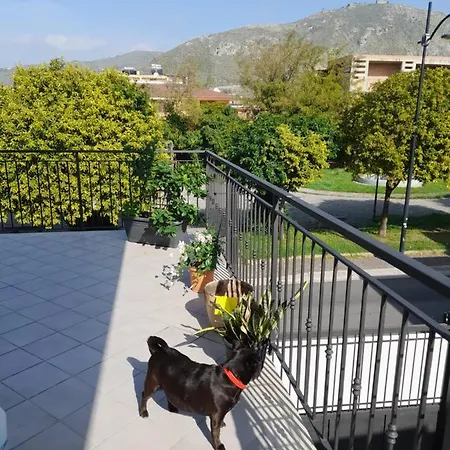 公寓 A Casa Di Falco *